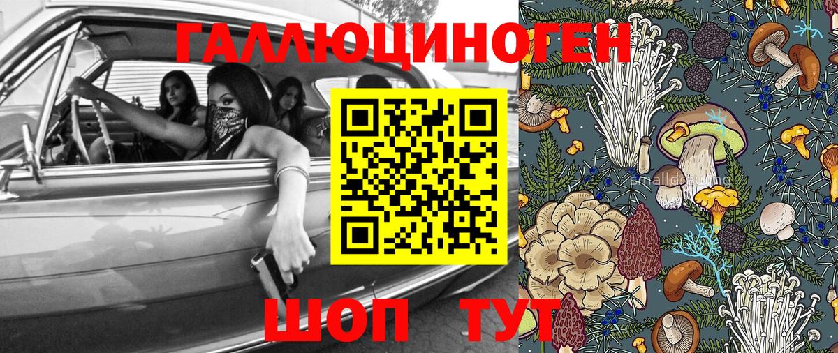 где найти   Вход с VPN  Удомля  Псилоцибиновые грибы Psilocybine cubensis 